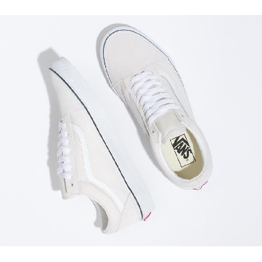 Vans Old Skool Mens Womens - Color Theory Cloud VN0A5KRSCOI Shoes