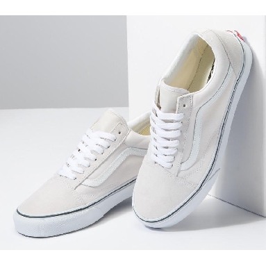 Vans Old Skool Mens Womens - Color Theory Cloud VN0A5KRSCOI Shoes