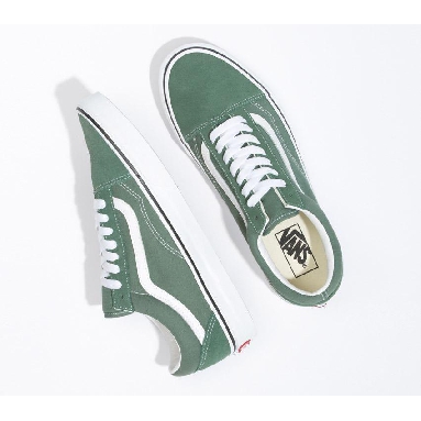 Vans Old Skool Mens Womens - Color Theory Duck Green VN0A5KRSYQW Shoes