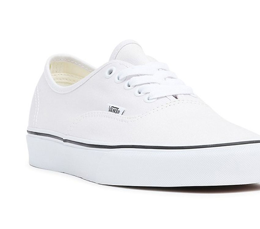 Vans Authentic Mens Womens - Color Theory Cloud VN0A5JMPCOI Shoes