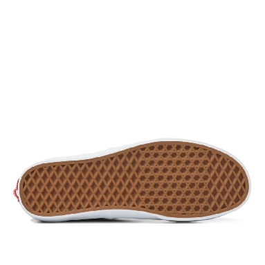 Vans Authentic Mens Womens - Color Theory Walnut VN0A5JMP1NU Shoes